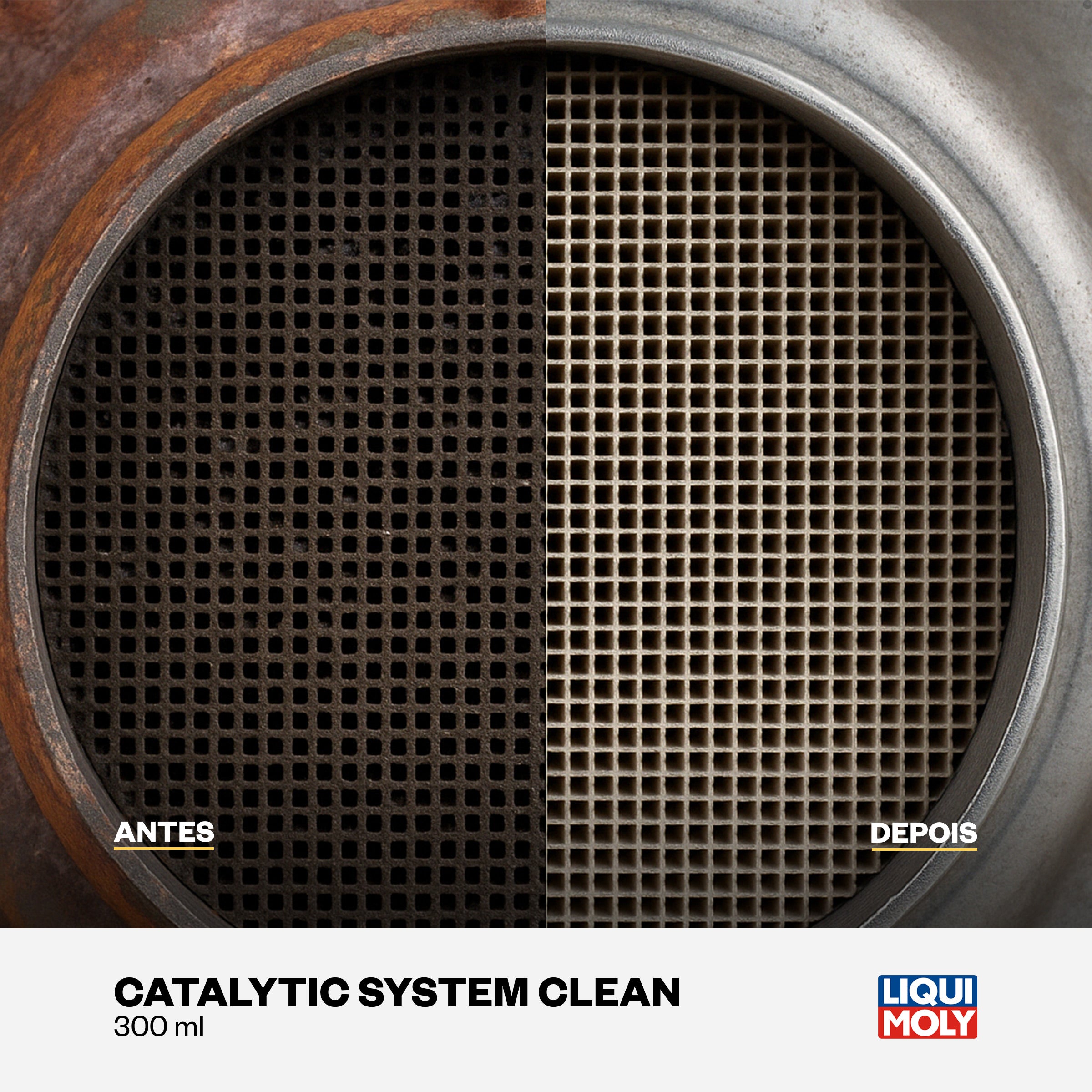 Catalytic System Clean 300ml - Liqui Moly - Limpeza Catalisador